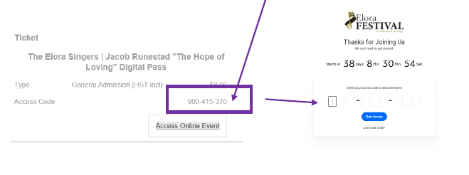 Access code and where to enter it on the ticket site.