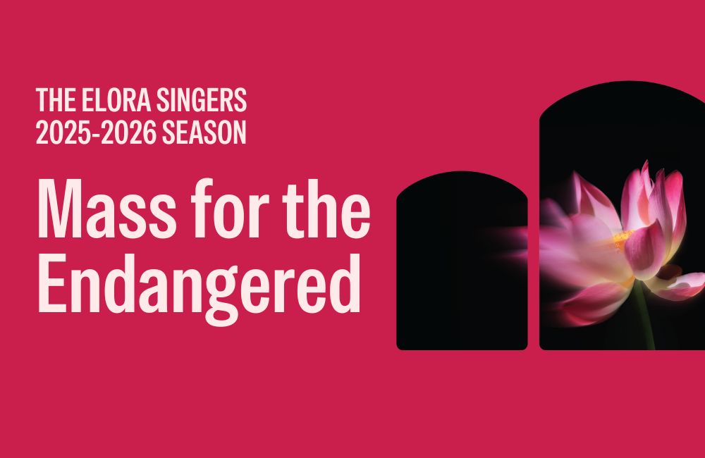 mass FOR the endangered